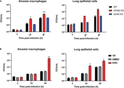 Role of the cGAS/STING pathway in the control of Brucella abortus infection acquired through the respiratory route